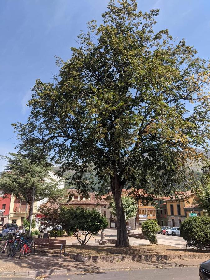 Hotel La Plaza Proaza Ngoại thất bức ảnh